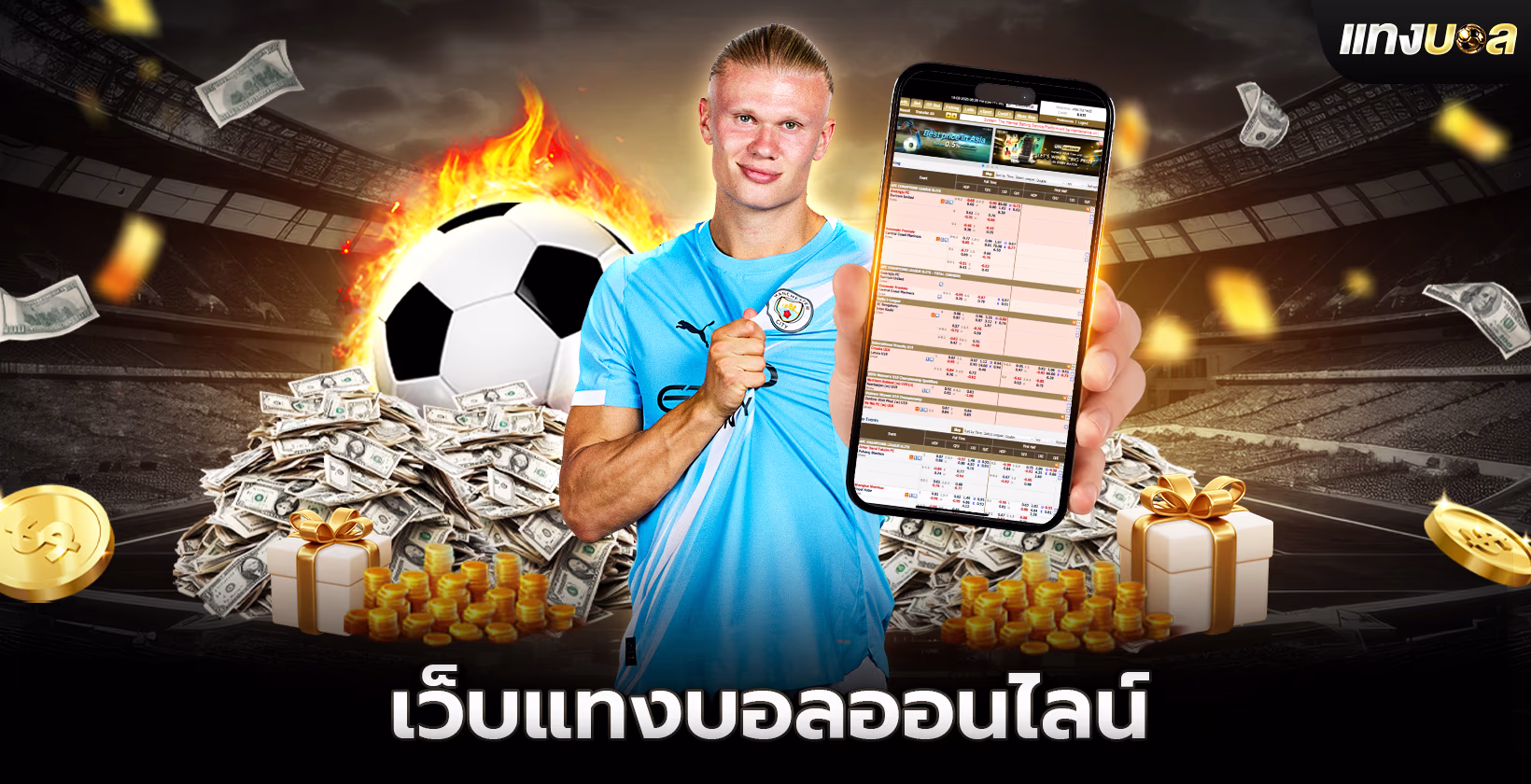 เว็บแทงบอลออนไลน์